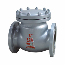 Check valve