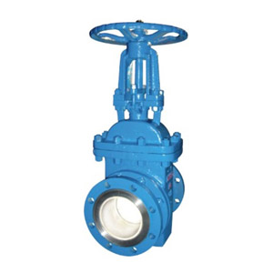 Ceramic lined valve