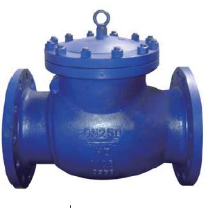 H44X Swing Rubber disc check valve