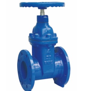 Z45X-10Q Ductile iron gate valve