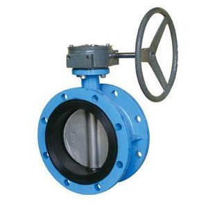 D341X-10 flange butterfly valve