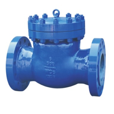 Cast steel check valve 300Lb