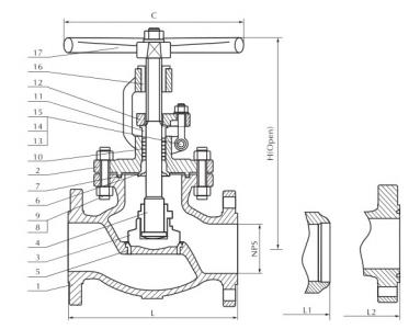 Cast steel globe valve 300Lb