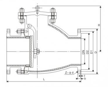 Ceramic lined check valve