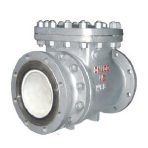 Ceramic lined check valve