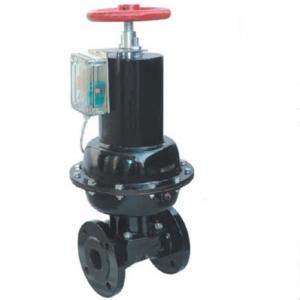 EG6B41J-10 BS Pneumatic diaphragm valve