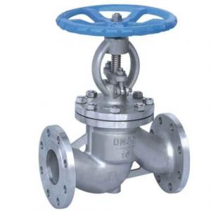 Stainless steel globe valve