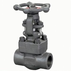 J61H Socket welded globe valve