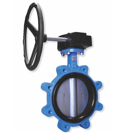 Cast iron lug type butterfly valve