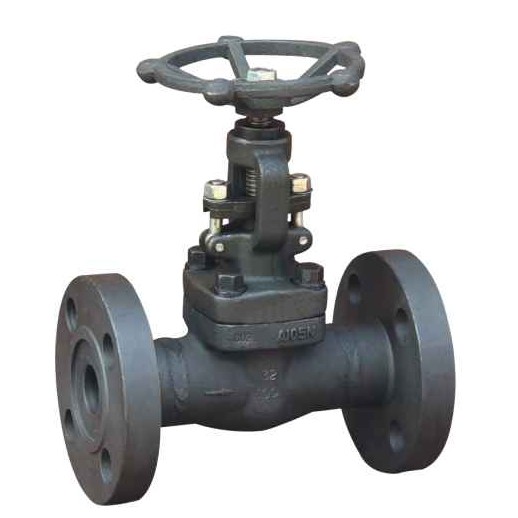 J41H A105 Flange globe valve