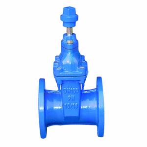 RVCX Buried type gate valve