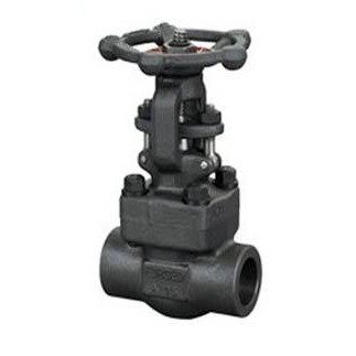 Z61H Z61Y Socket welded gate valve