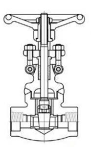 Z61H Z61Y Socket welded gate valve