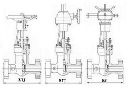 Z541Y Pressure seal gate valve