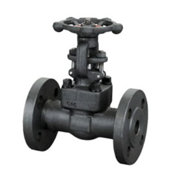 API Forged Steel Gate Valve 150Lb~1500Lb