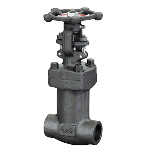 Bellows seal forged gate valve