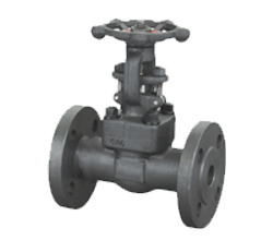 Integral flange forged gate valve