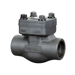 Bolted bonnet Forged Check Valve