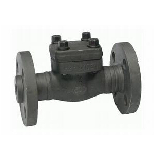 Flange type forged check valve