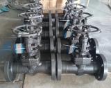 A105 globe valve