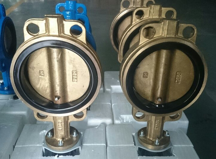 Sea water butterfly valve