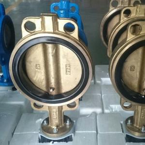 Sea water butterfly valve