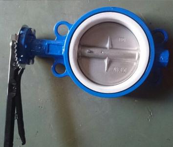 D671F4 Pneumatic PTFE line butterfly valve