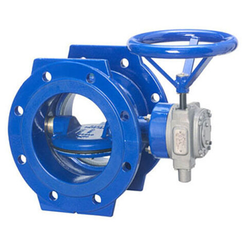 Double offset butterfly valve