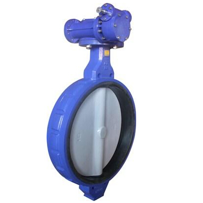 Vition seat butterfly valve