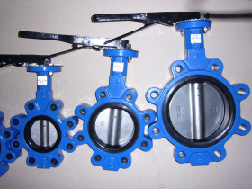 lug type butterfly valve