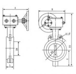 Vition seat butterfly valve