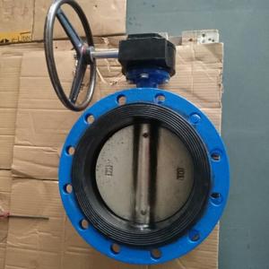 Double flange concentric butterfly valve