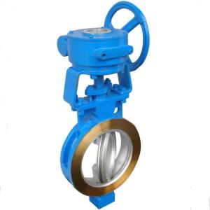 Bi-directional butterfly valve