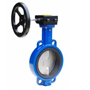 Single eccentric butterfly valve