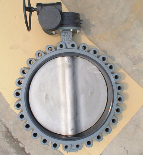 Lugged butterfly valve