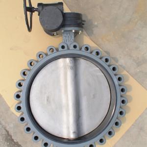 Lugged butterfly valve