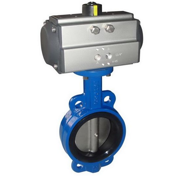 Pneumatic control butterfly valve