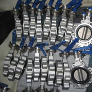 Lug type concentric butterfly valve