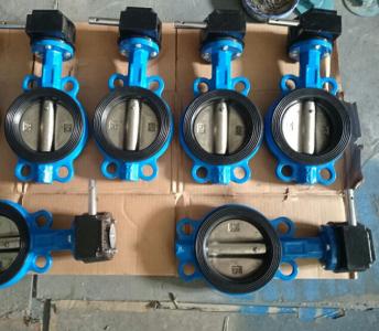 Soft sealing butterfly valve