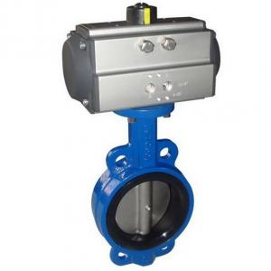 Pneumatic control butterfly valve