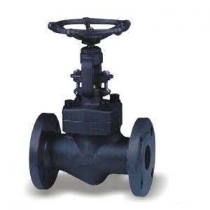 bolted bonnet forged globe valve