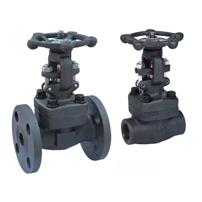 A105 Forged globe valve