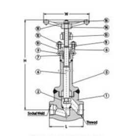 Low temperature forged globe valve