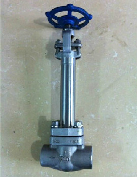 Low temperature forged globe valve