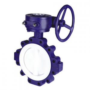 Lug type PTFE lined butterfly valve