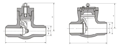 H64Y High pressure check valve structure