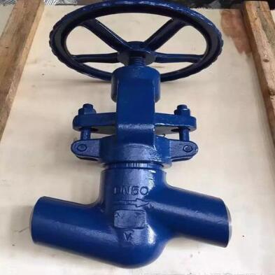 A182 F11 F22 High temperature globe valve