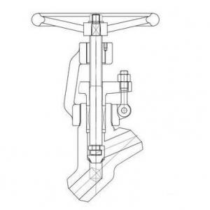 SW BW Forged steel Y type globe valve