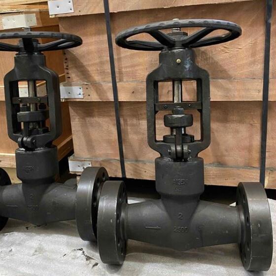 Flange End Pressure Self Sealing Globe Valve