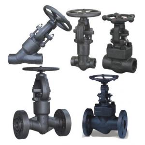 BW SW Forged Steel Gate Valve Class 800